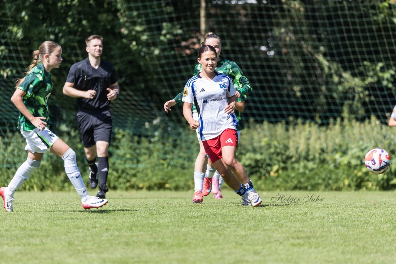 Bild 394 - wBJ Hamburger SV - VfL Wolfsburg : Ergebnis: 5:1